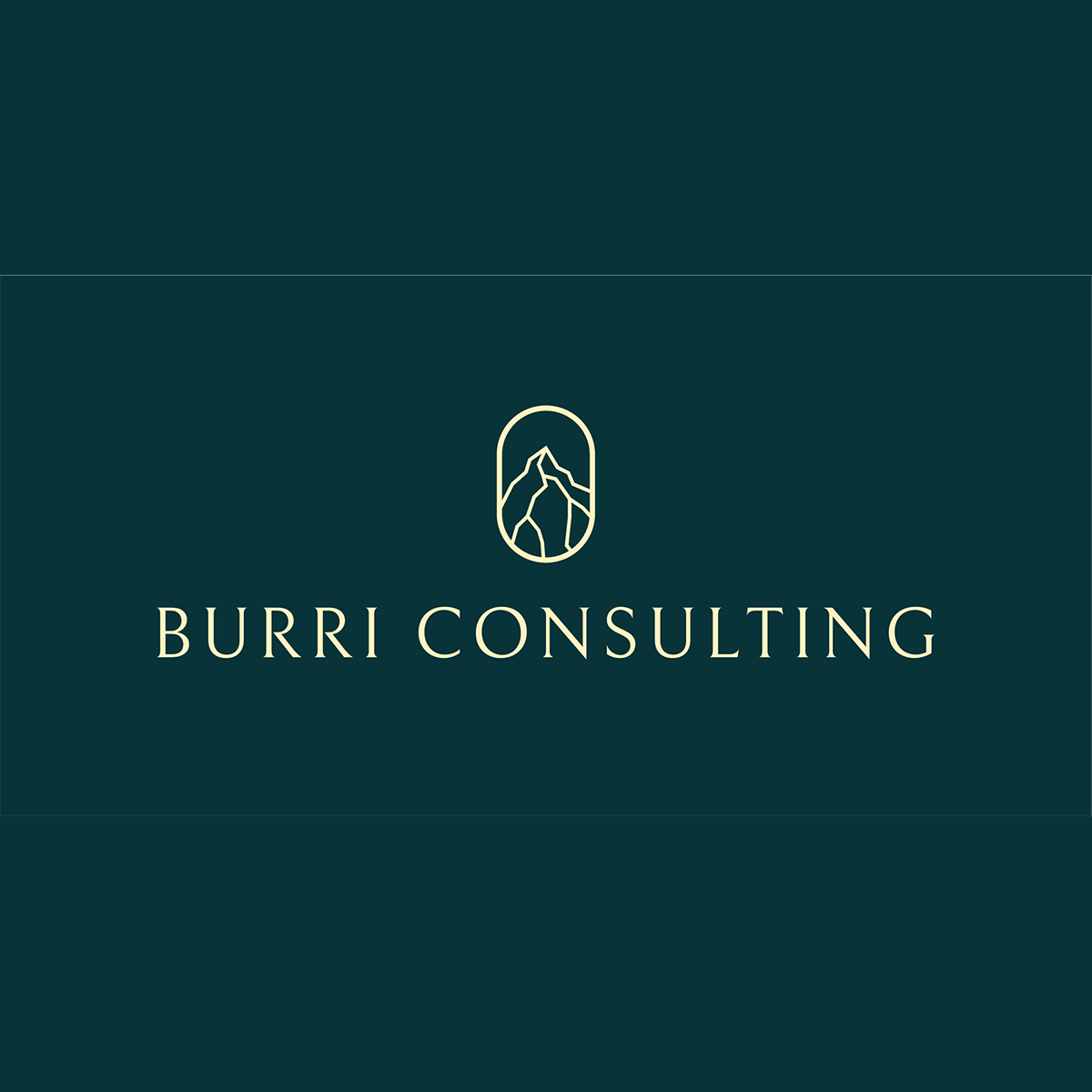 Burri Consulting GmbH